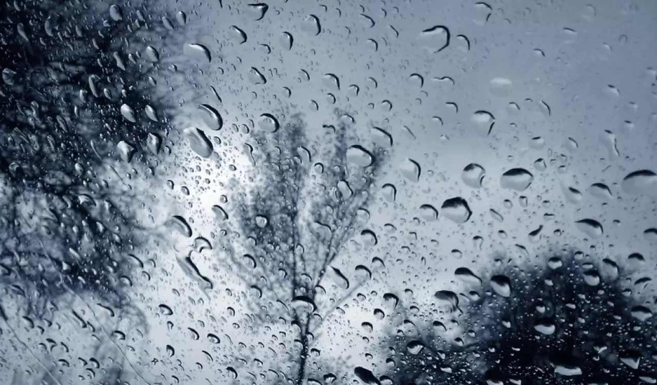 Дожди и туман прогнозируют в Казахстане