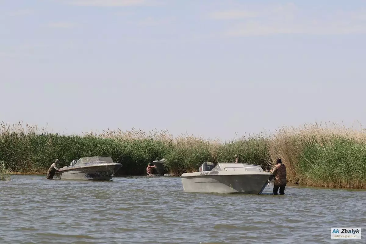 За первые дни акции «Бекіре» выявили более 230 нарушений