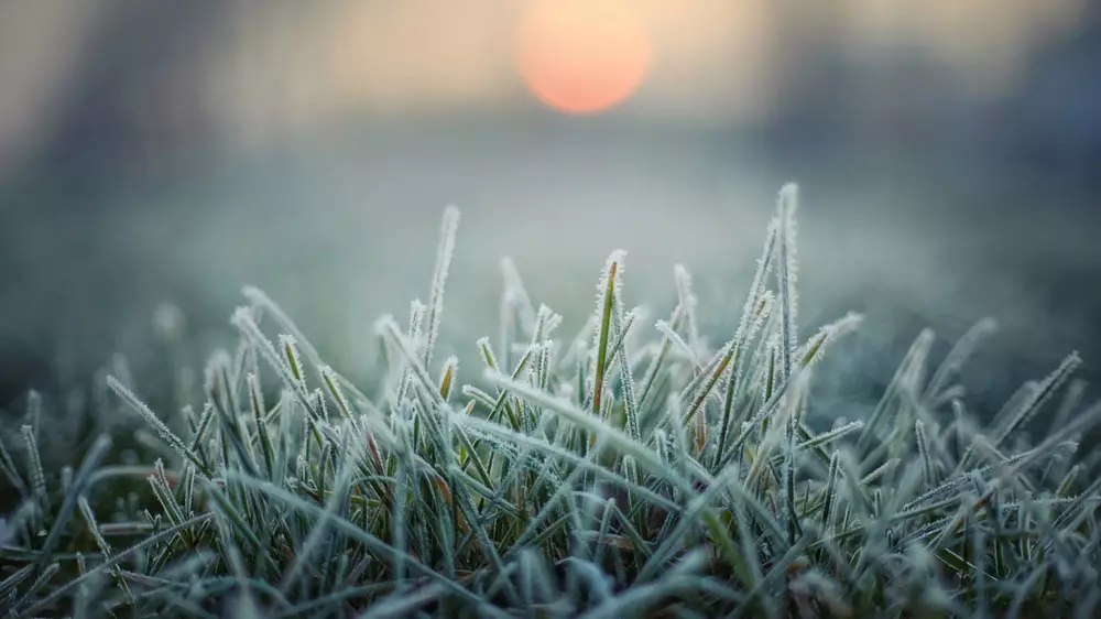 Жаңбыр, үсік, найзағай: 11 сәуірде ауа райы қандай болады?