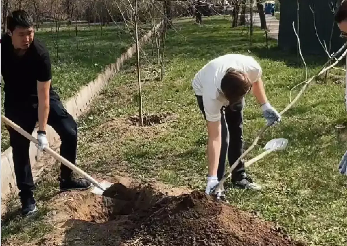 Қаланы таза ұстауды әркім өзінен бастасын - алматылықтар