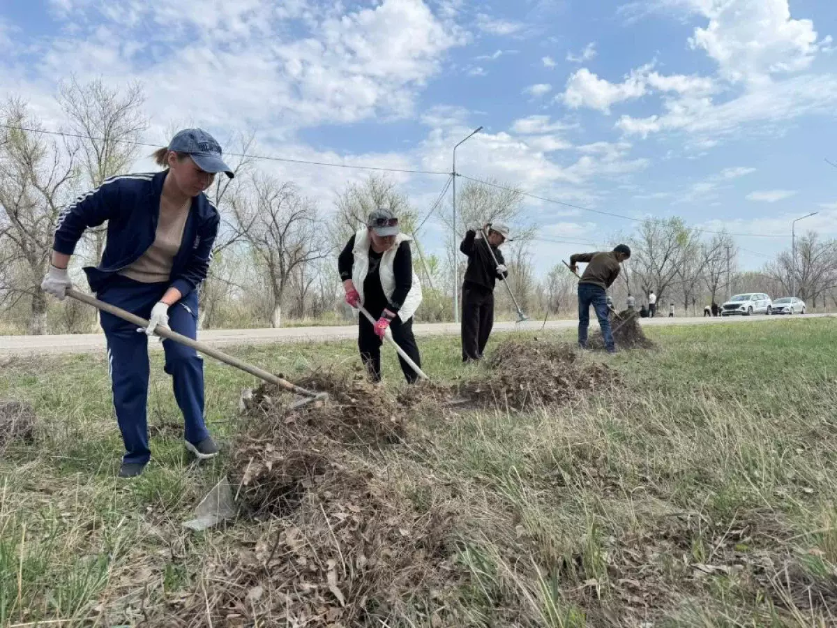 В Жетісу вывезли тысячи тонн мусора и высадили десятки тысяч деревьев