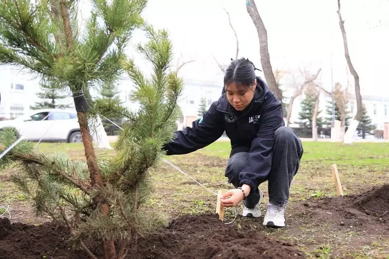 «Таза Қазақстан»: Қарағандыда бір күнде 400 ағаш отырғызылды