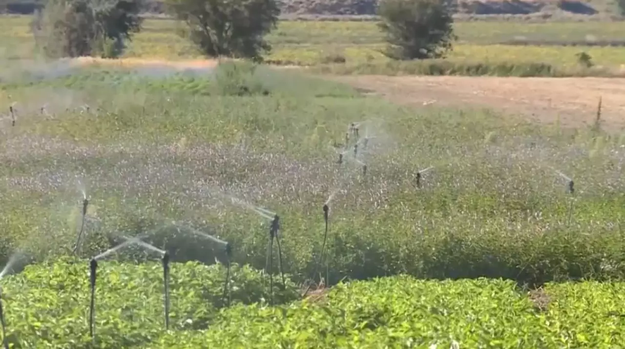 Елде су үнемдеу көрсеткіші екі есе артады