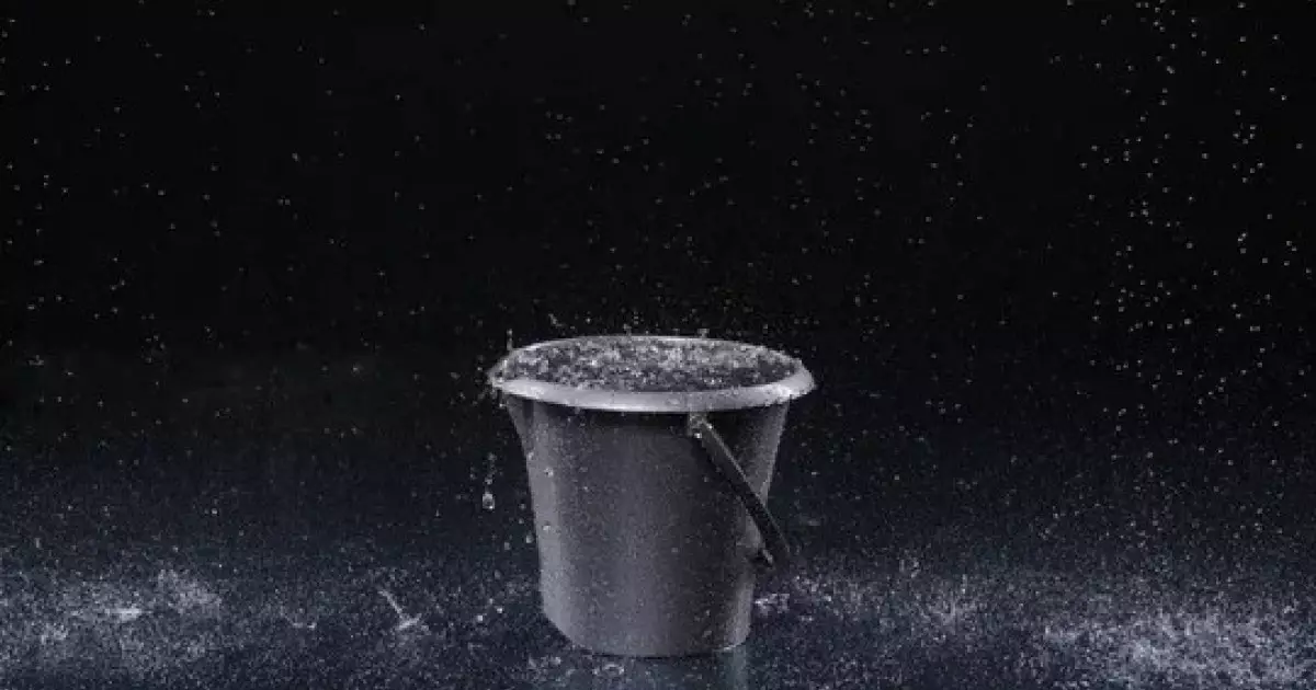  Анасы 6 жасар баласын шелектегі суға батырып өлтірді 