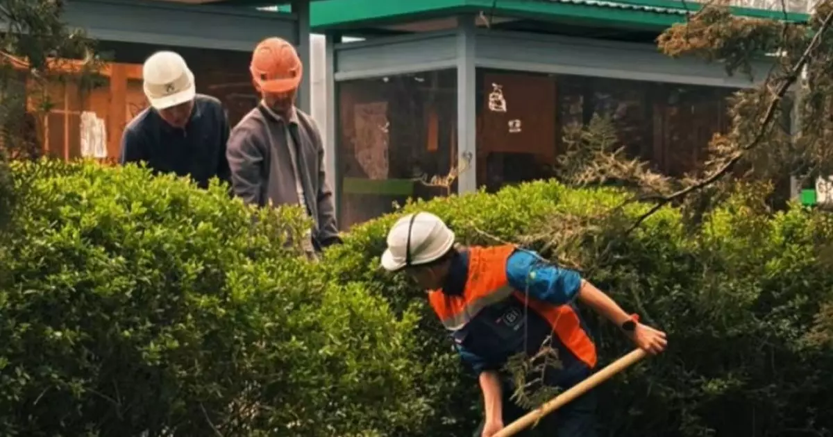  Алматыда құрылыс нысандарында сенбілік өтті 