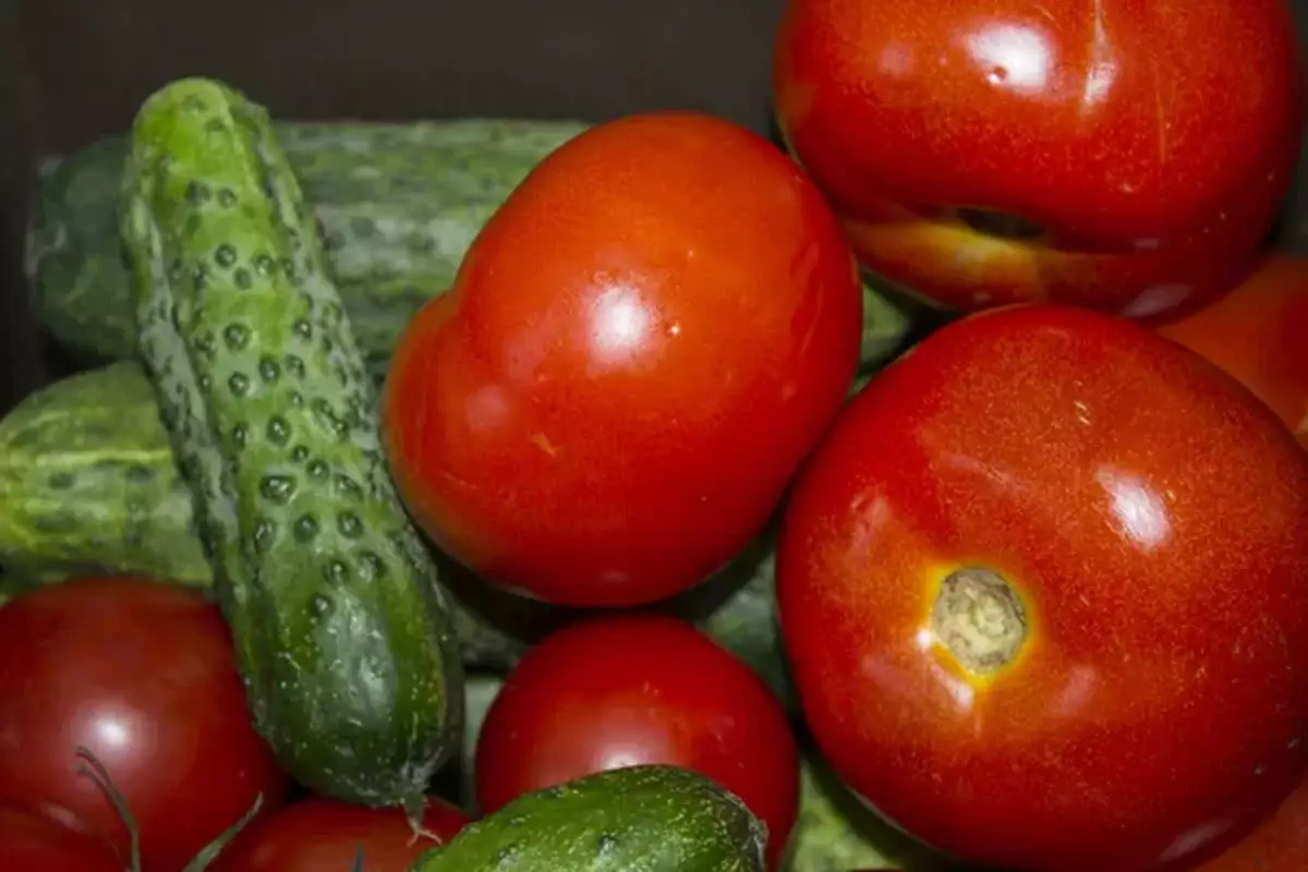 Қияр мен қызанақ бағасы қай қалада арзан