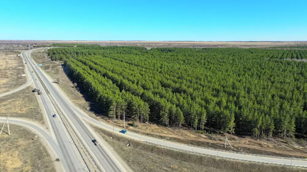 Экопарк площадью 43 гектара: в Костанае появится новая зона для отдыха