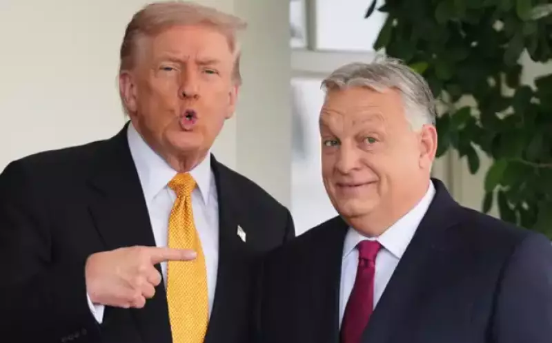 Трамп пообещал деньги Венгрии при победе Орбана