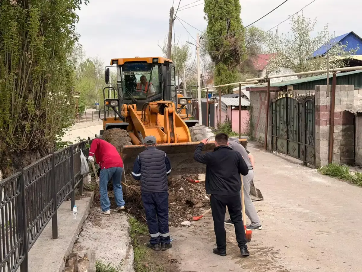 Eco Almaty қызметкерлері 25 текше метрден астам қоқыс шығарды