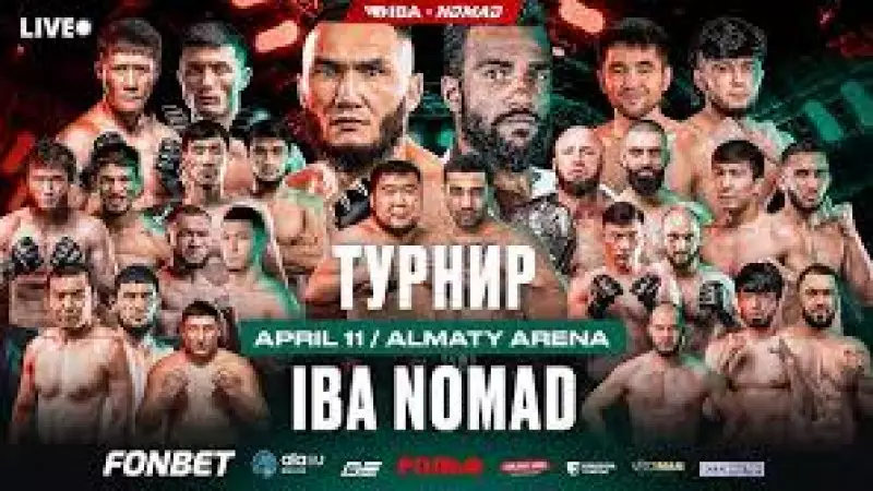 IBA NOMAD 14 тікелей эфир