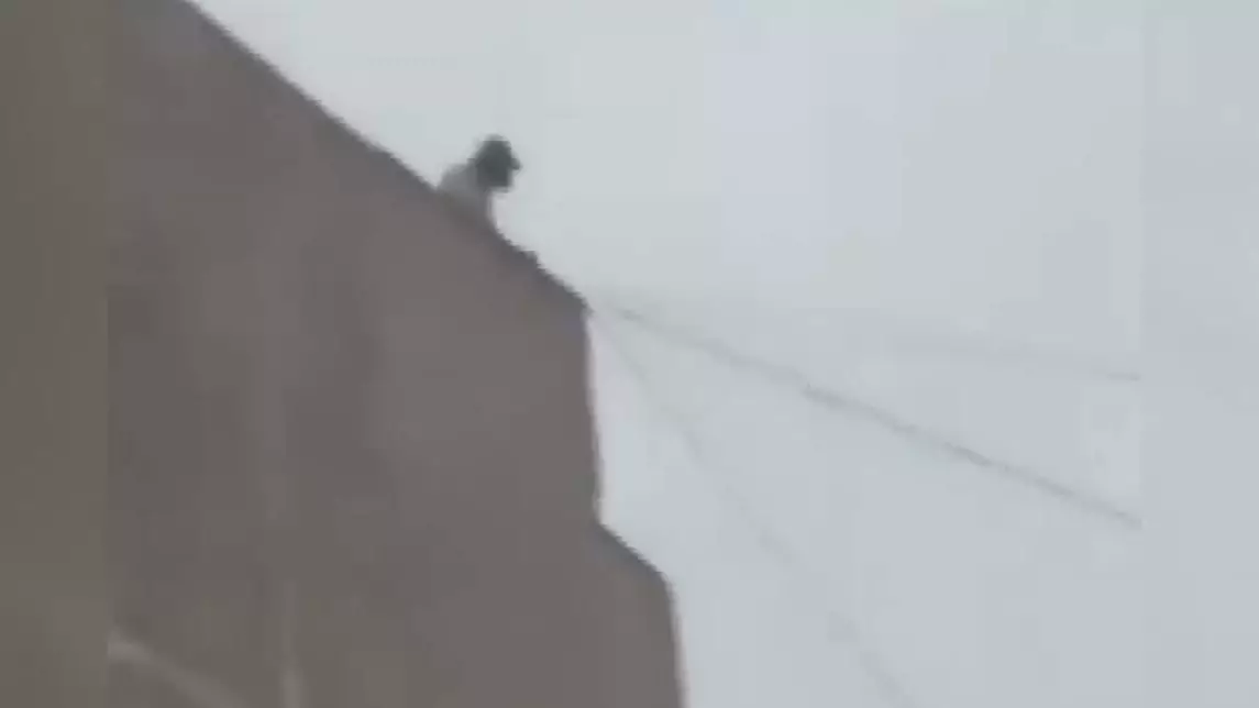 9-қабаттың шатырына шыққан: Қарағандыда 16 жасар қыз құтқарылды