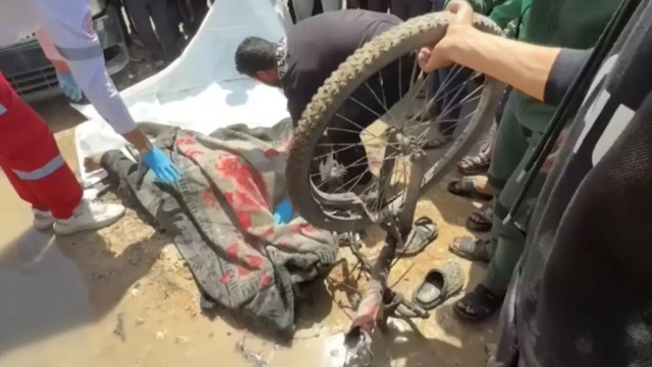 Только две страны поддержали «Совет мира»