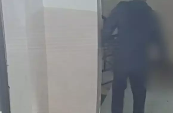 Астанада балта ұстаған ер адам тұрғындардың зәресін алды