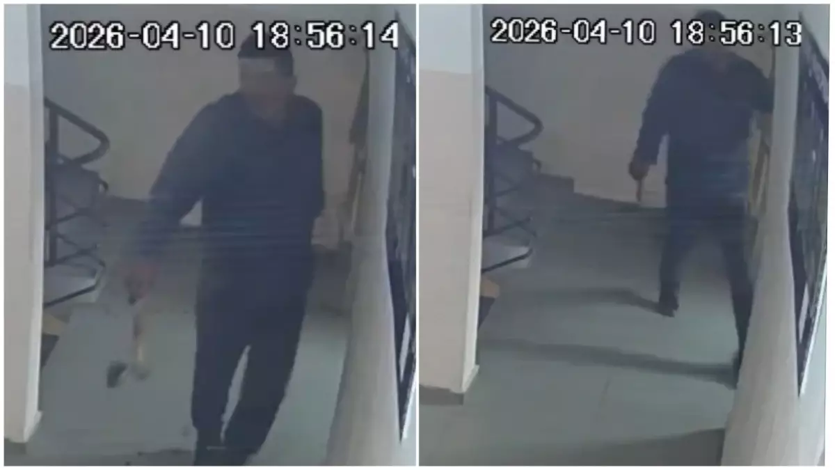 Астанада подъезде балта ұстаған мас ер адам 15 тәулікке қамалды (видео)