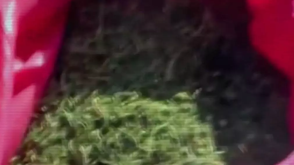 Почти три тонны наркотиков не допущено в оборот с начала года