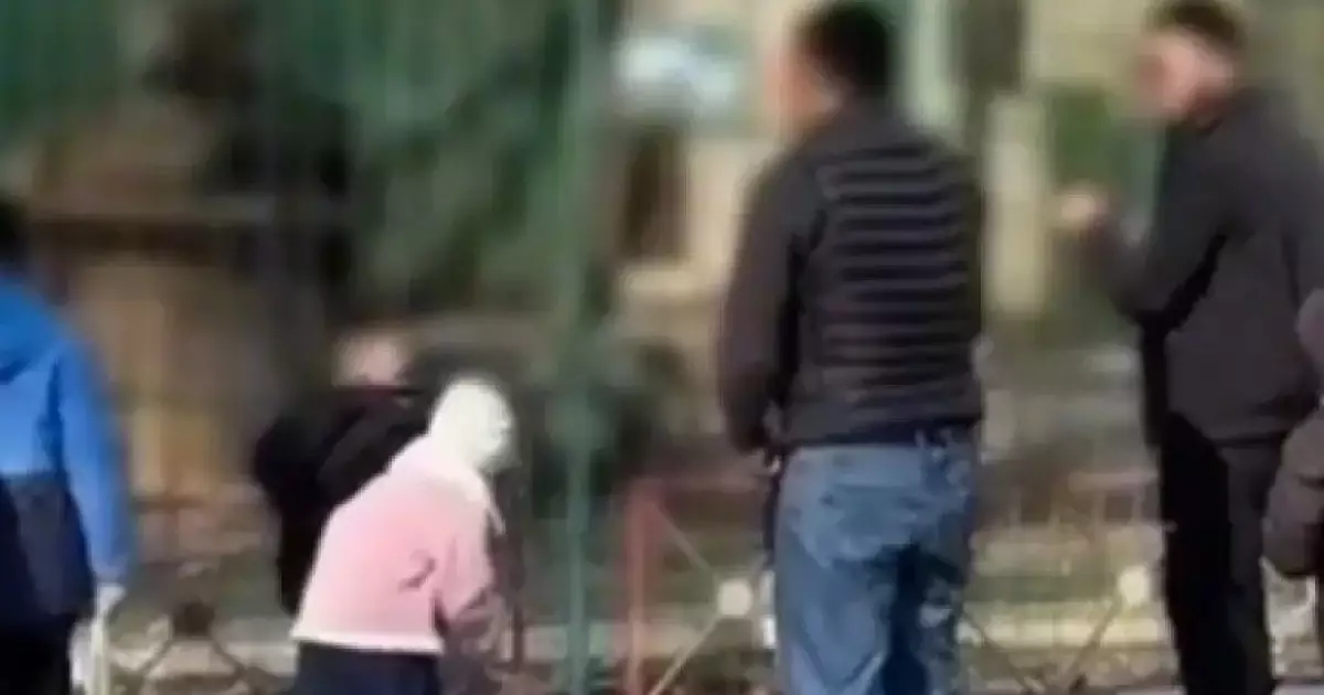  Семейде ересектер балалардың көзінше арыстандардың торына тас лақтырған 