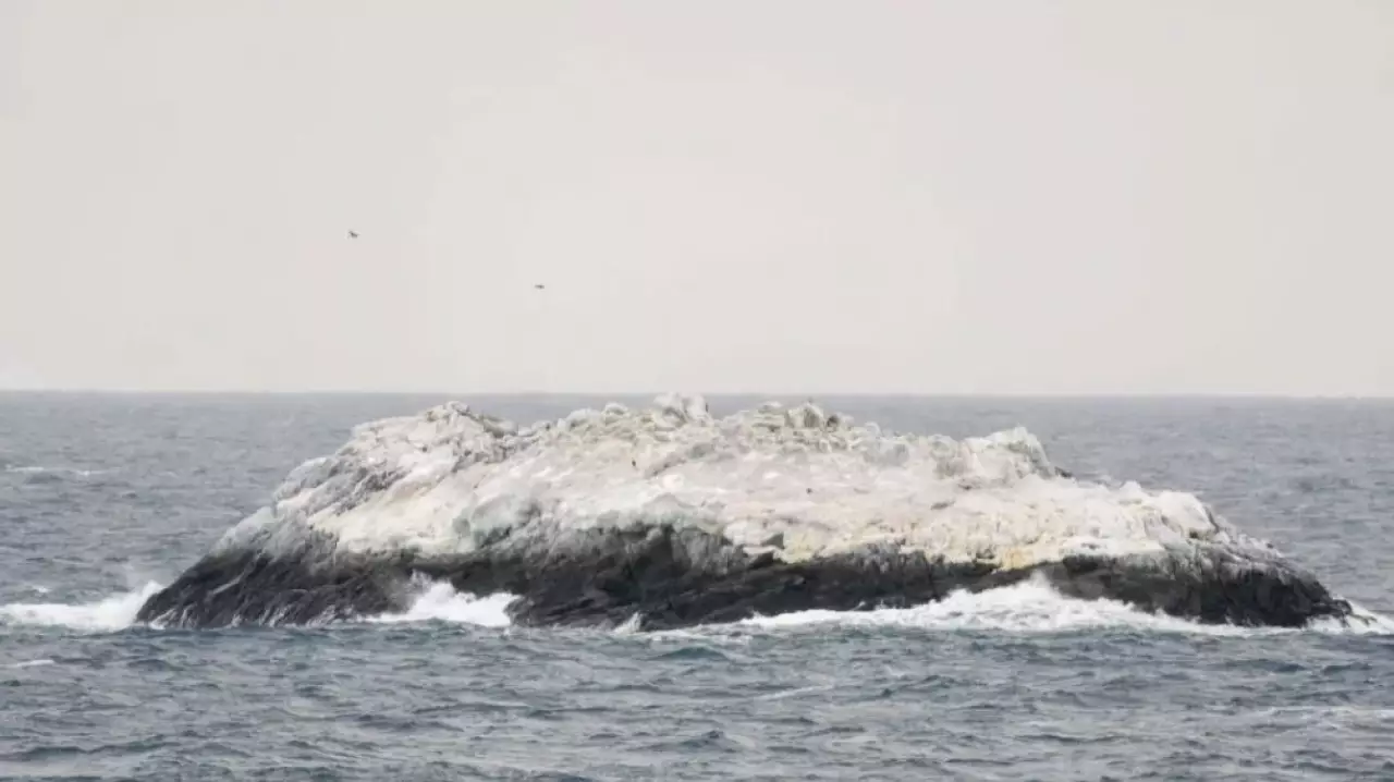 Антарктикада белгісіз арал табылды