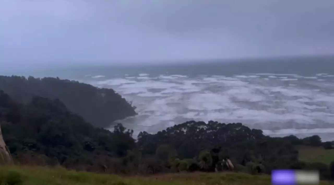 Жаңа Зеландияға «Вайану» дауылы келді