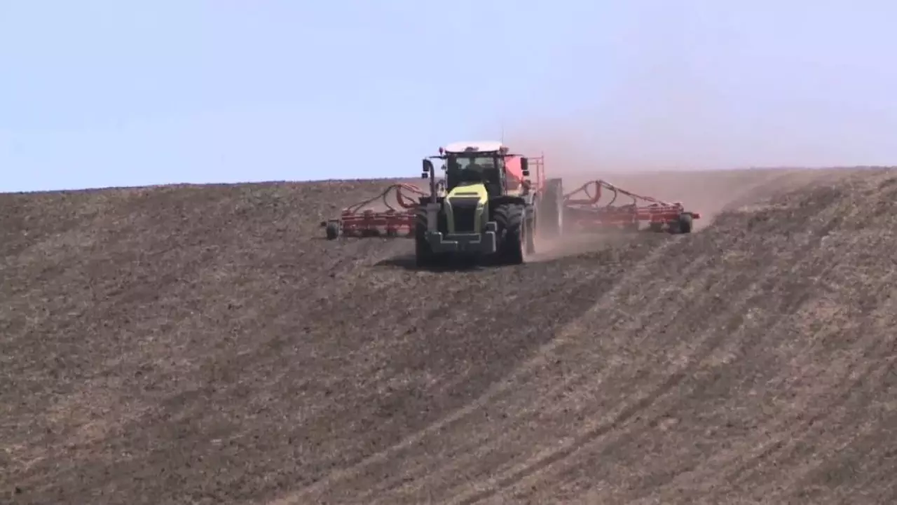 Өскеменде отандық ғалымдар табиғи гидрогель жасады