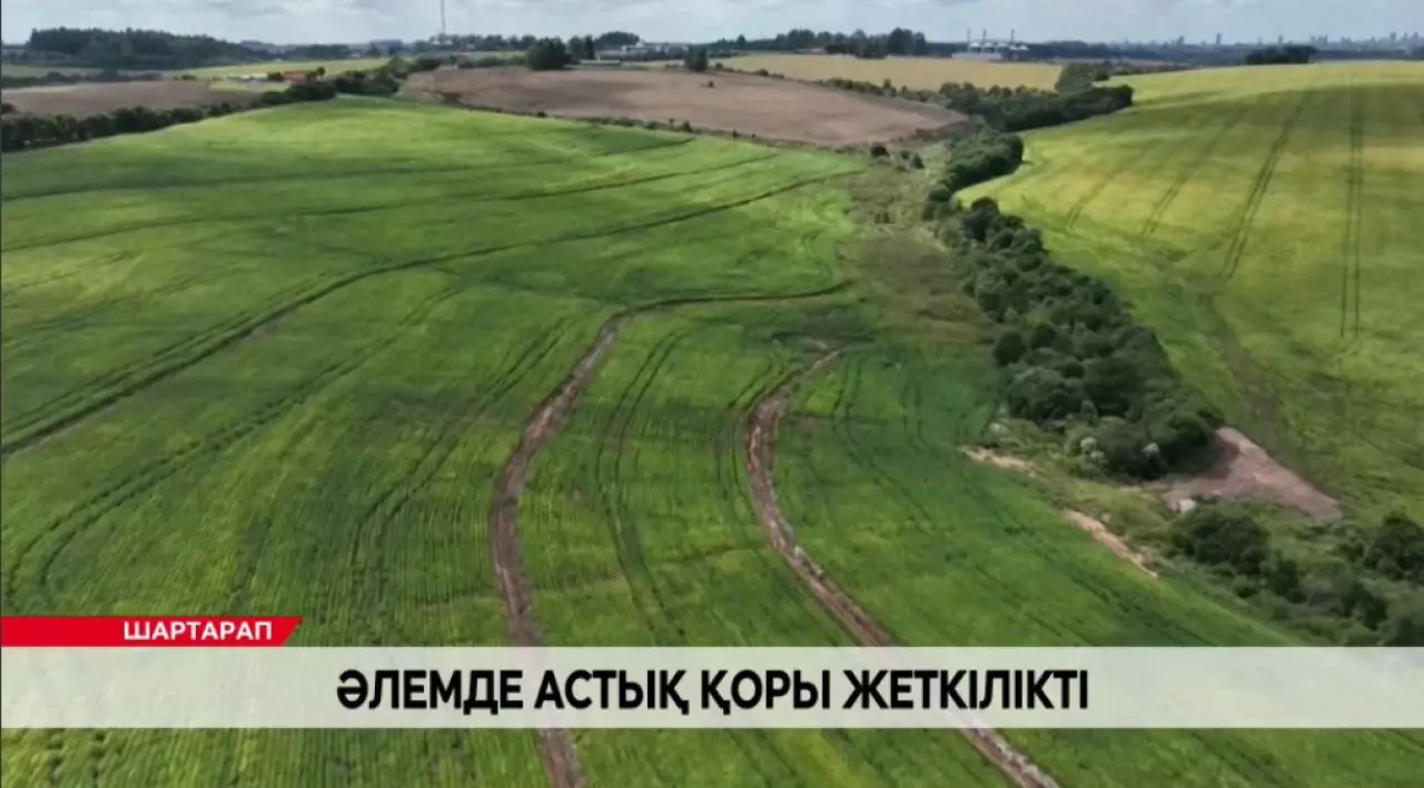 Әлемде астық қымбаттады