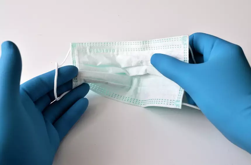 Бірнеше мемлекетте коронавирустың «цикада» деген түрі тіркелді