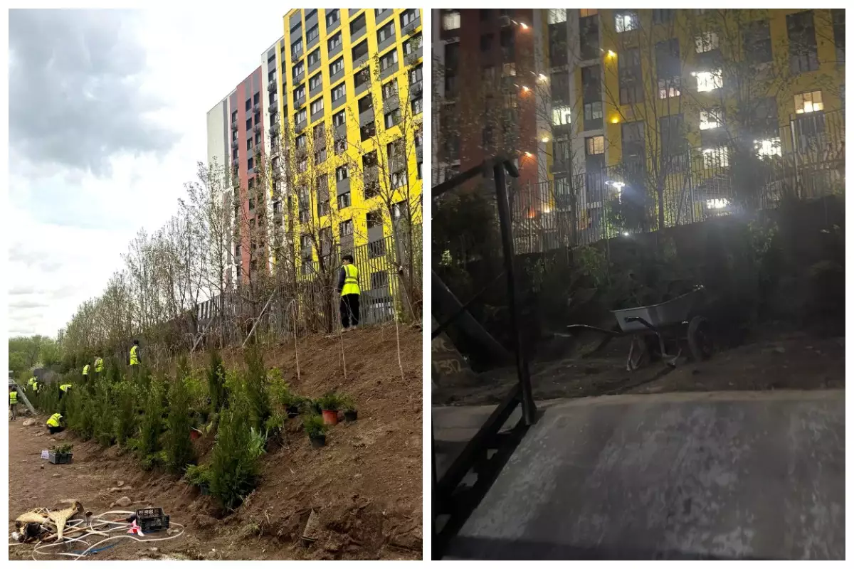 "Күндіз абаттандырып, түнде бәрін алып тастады": Алматылық тұрғын көзбояушылыққа шағымданды