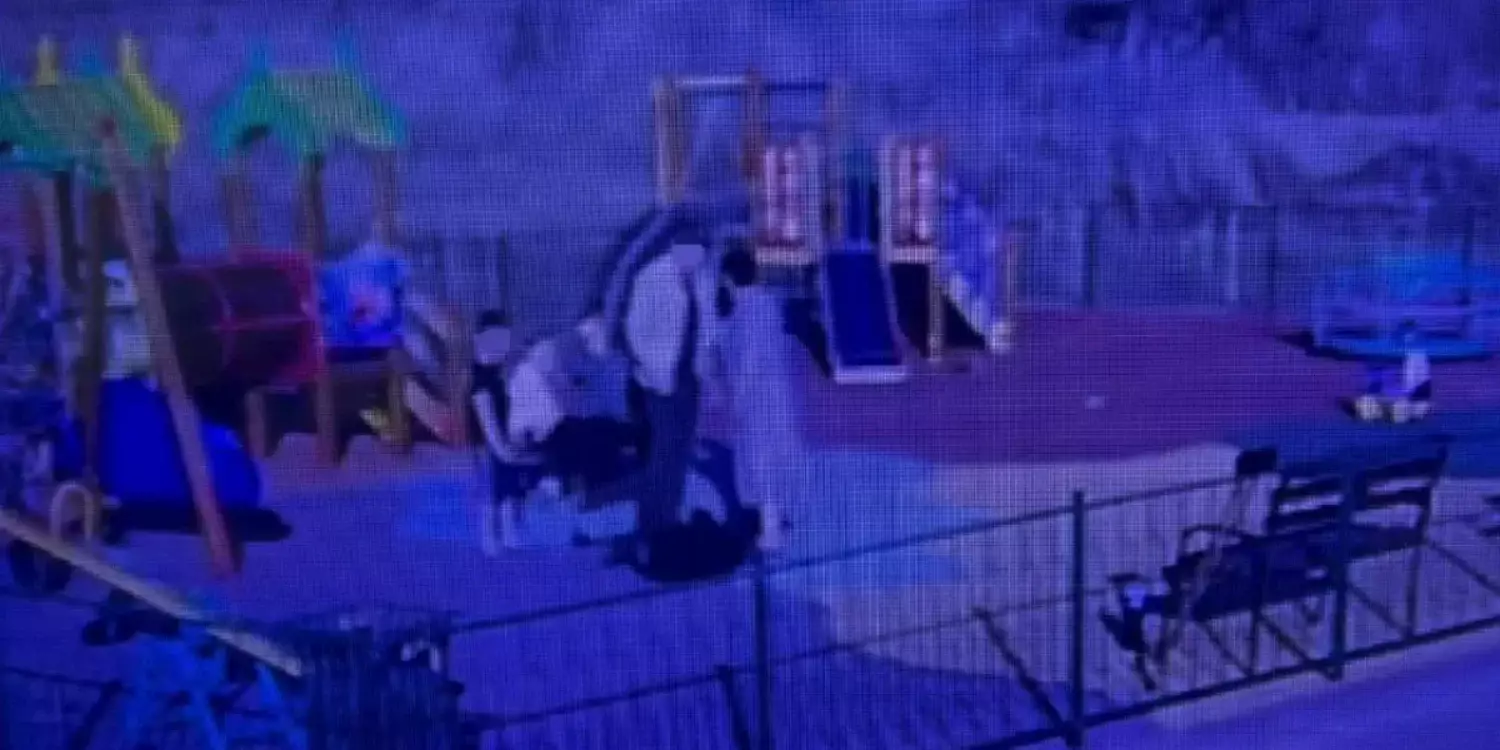 Қарағандыда ер адам балалар алаңында баланы тұншықтырған (ВИДЕО)