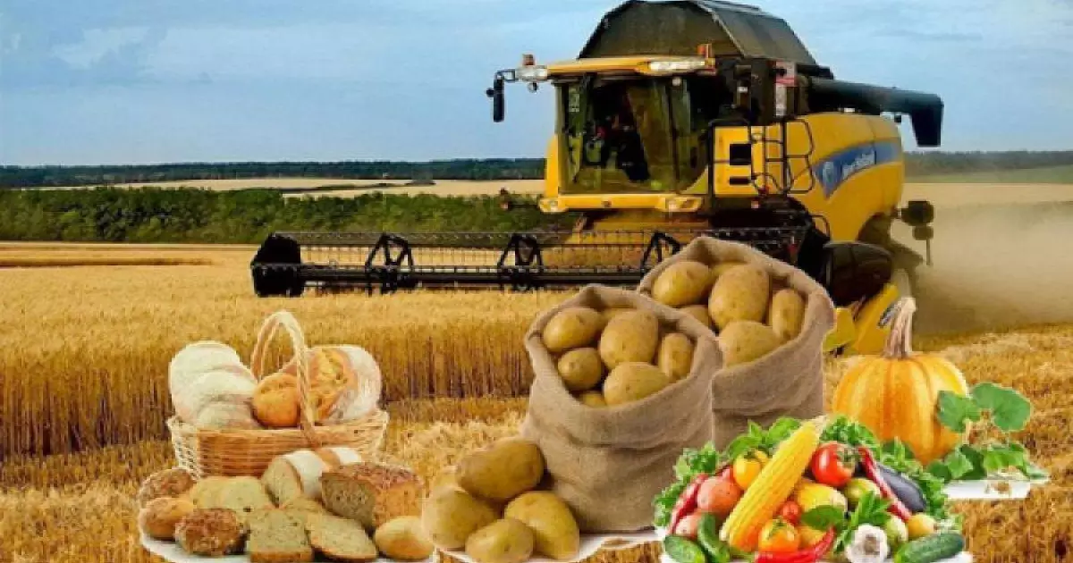  Азық-түлік өндірісі 665 млрд теңгеден асты 