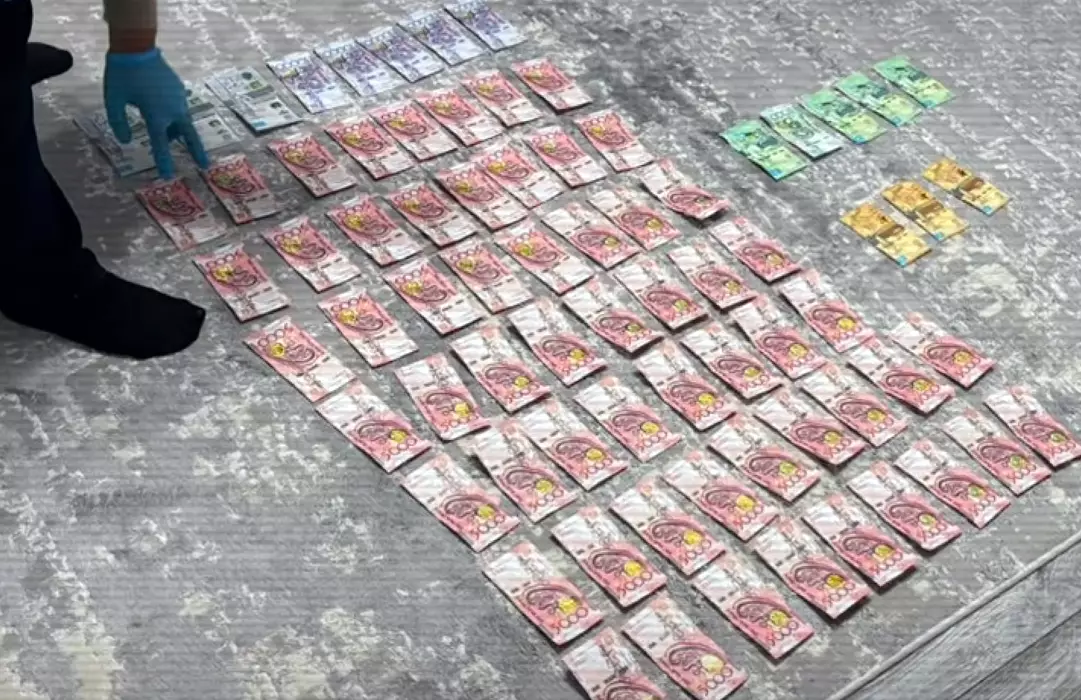 МВД перекрыло канал незаконной миграции в Шымкенте (видео)