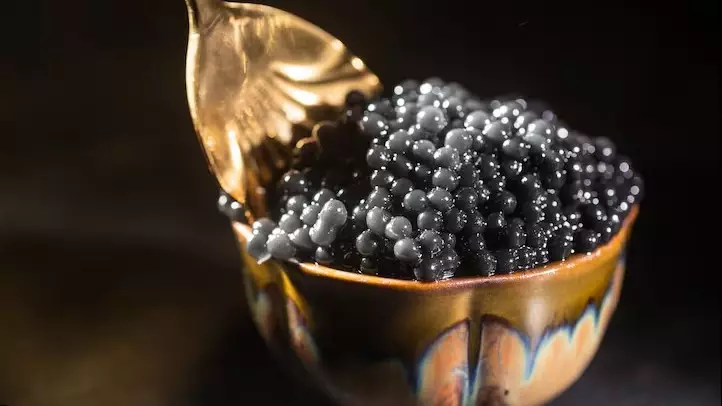 Незаконную закупку осетровой икры на 147 млн тенге сорвали в Атырауской области