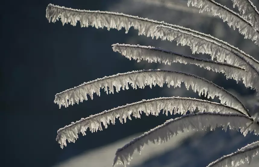 Алдағы күндері ел аумағында қар жауады