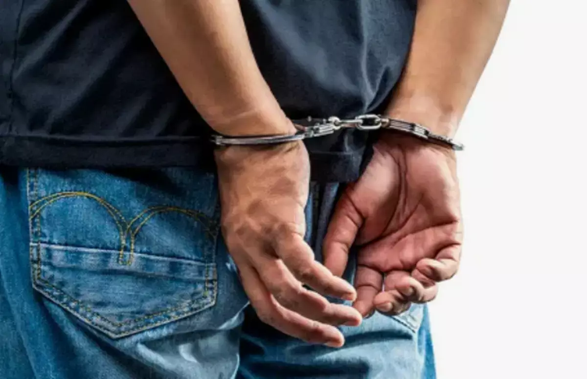 Казахстанец получил 7 лет колонии за «сорняки» на огороде - новости на Lada.kz 13.04.2026