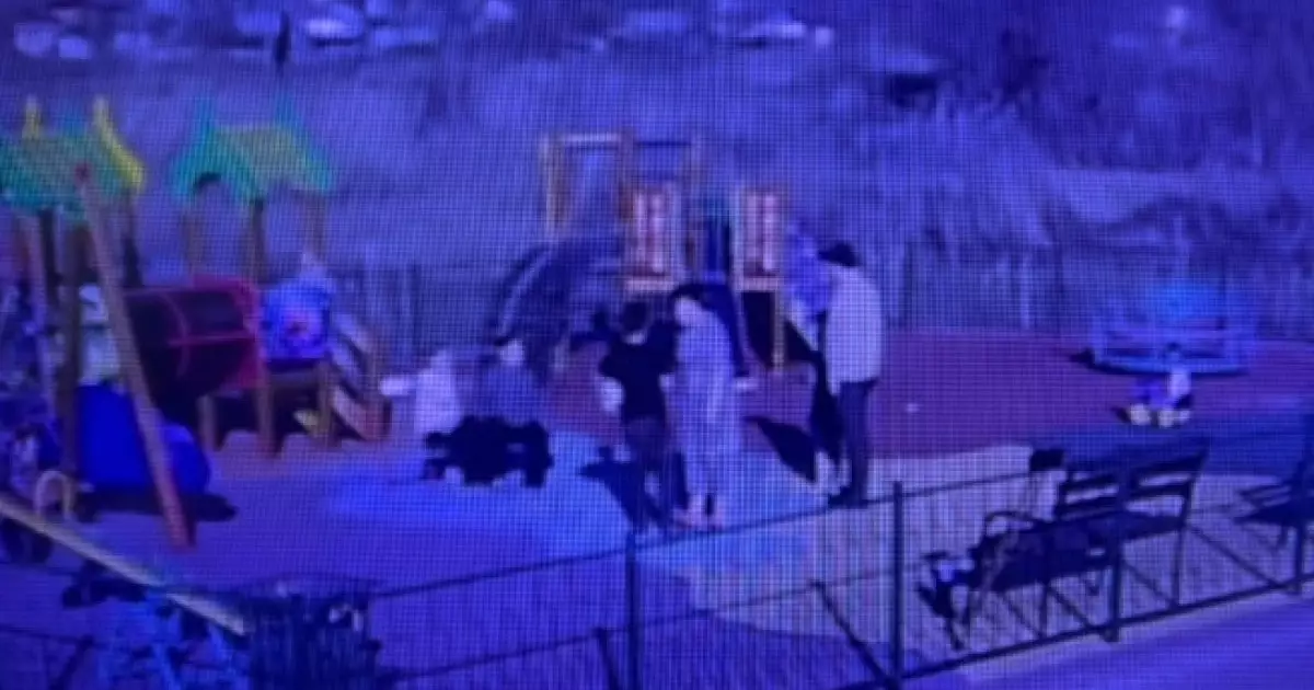  Қарағандыда ауладағы жанжал: балаға күш қолданылған видео тарады 