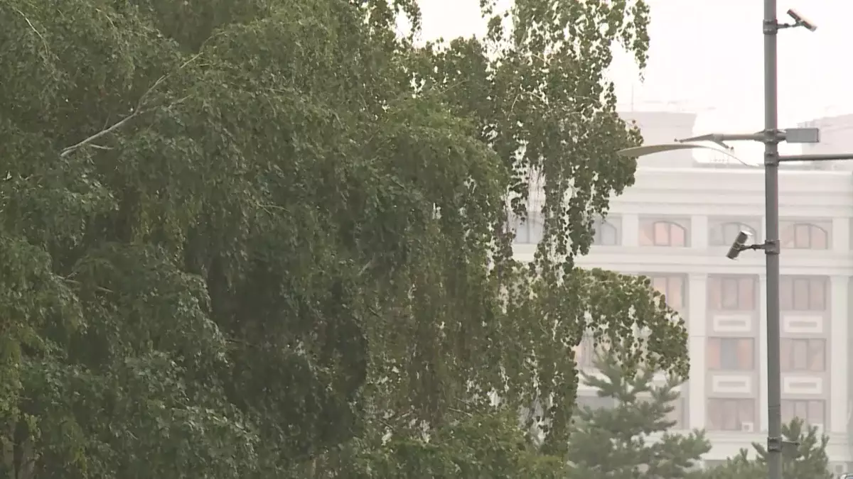 Синоптиктер 16 өңірде дауылды ескерту жариялады