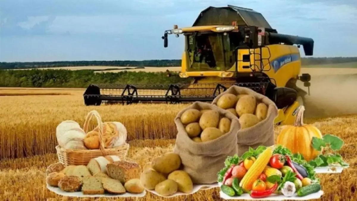 Елімізде алкогольсіз сусындар өндірісі 43,7%-ға артты