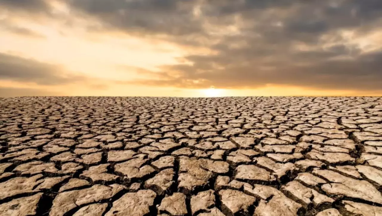 Что представят на выставке RES EXPO 2026