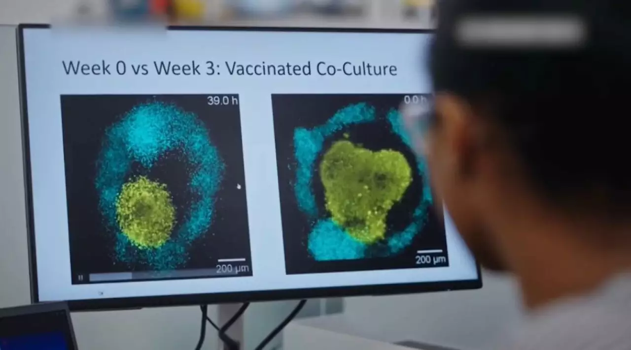 Коронавирус қатерлі ісікке ұласуы мүмкін