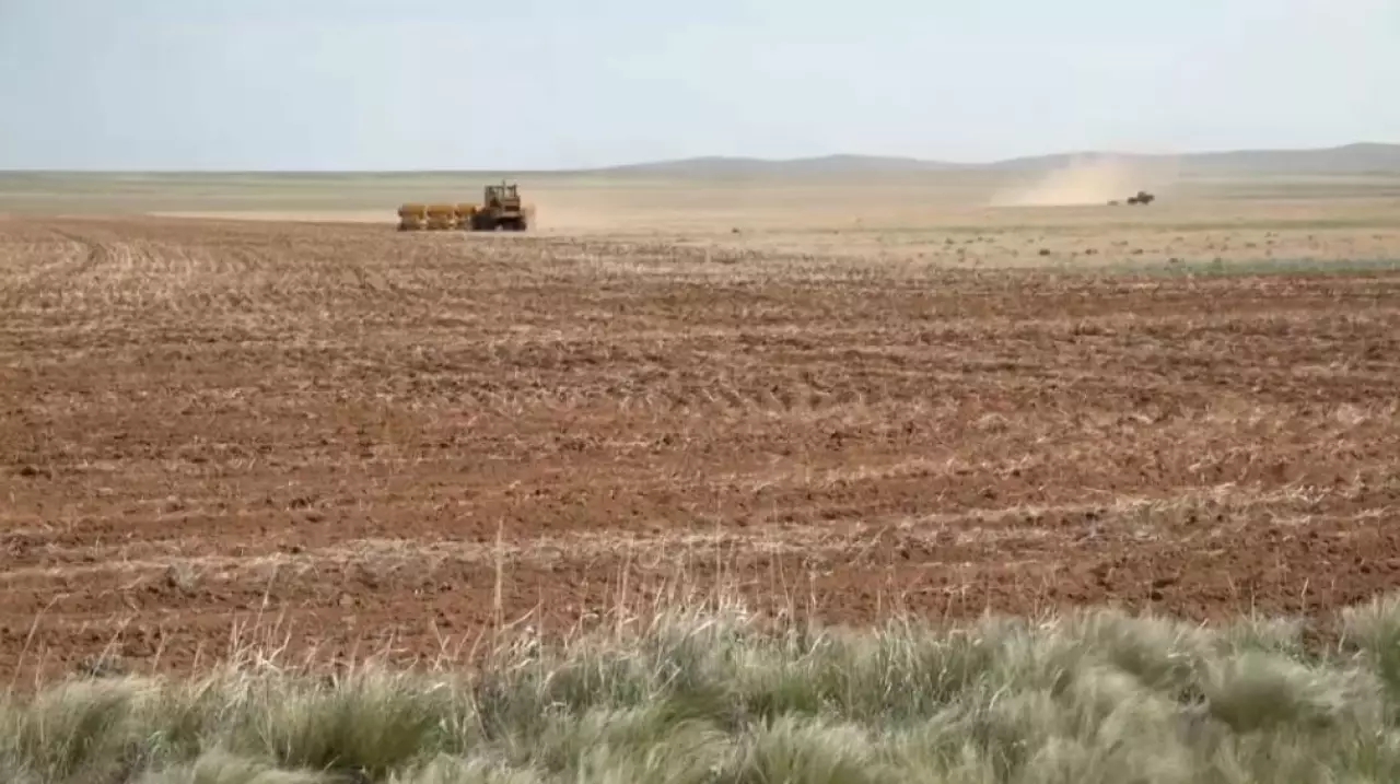 Аграрии области Ұлытау начали посевную кампанию