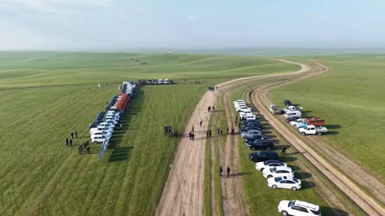 Более 400 тысяч гектаров обработают от саранчи в Туркестанской области