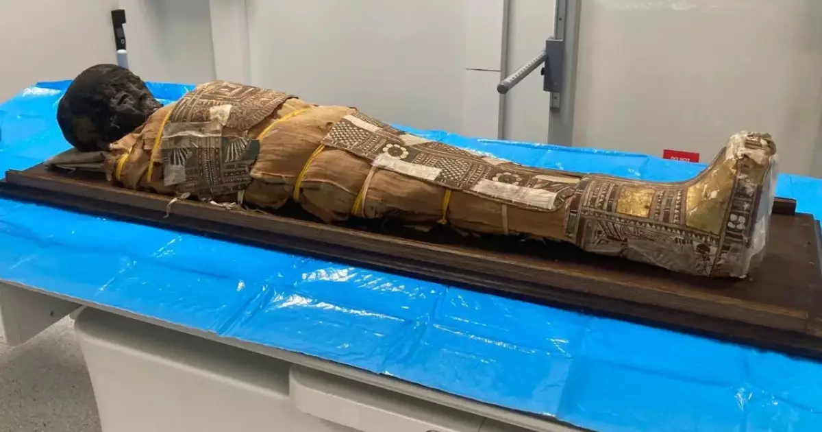  2 000 жылдық Египет мумиясынан жасырын зат табылды 