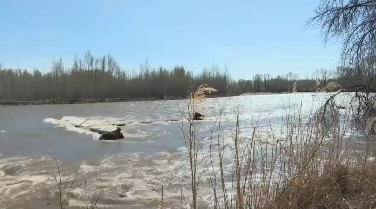 ШҚО-да Күршім өзенінің деңгейі күн санап көтеріліп келеді