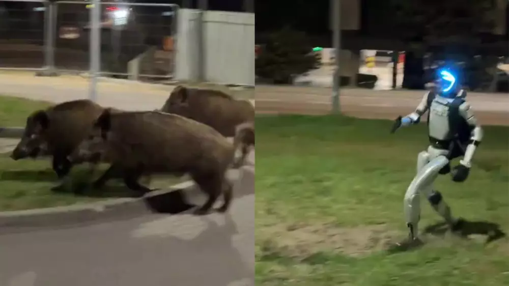 “Сначала кабаны, потом мы“. Робот-охотник напугал жителей Варшавы