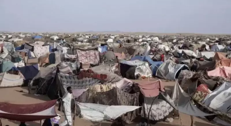 Люди едят листья и корм для животных: Судан на грани голода