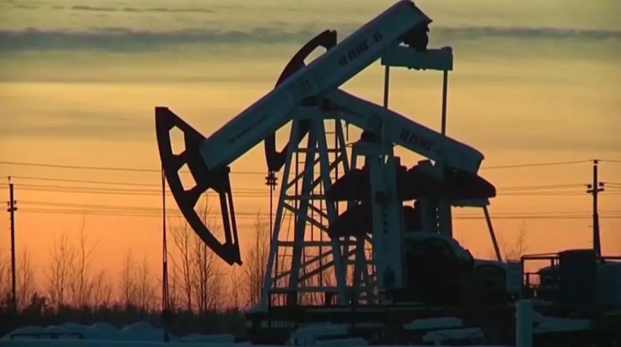 Добыча нефти стран ОПЕК резко сократилась