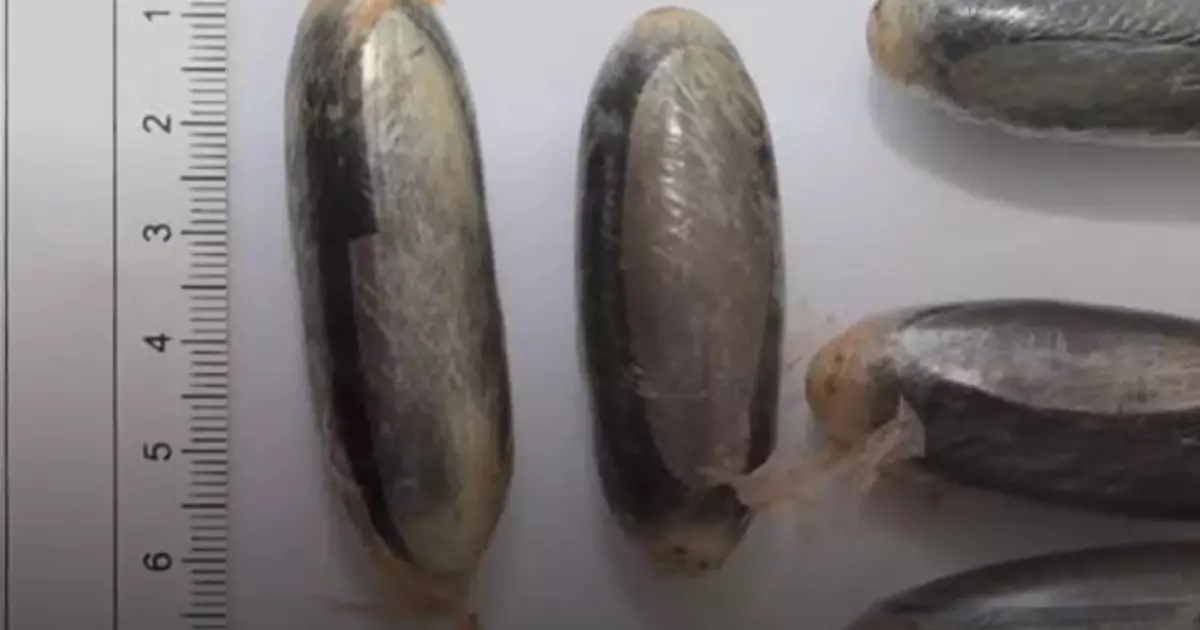  Әуежайда ер адамның ағзасынан есірткі салынған 88 капсула табылды 