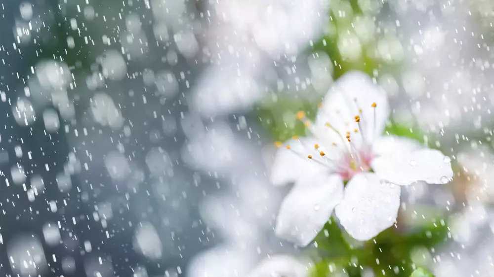 Погода изменится в Казахстане: прогноз на вторник, 14 апреля