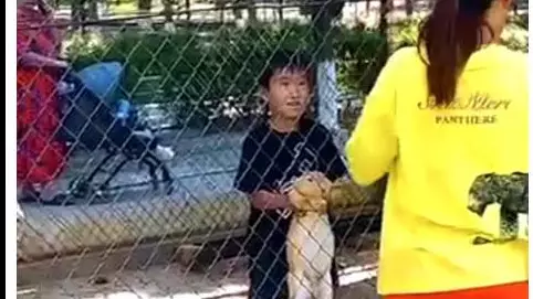 Посетители зашли в вольер с кроликами в зоопарке Шымкента