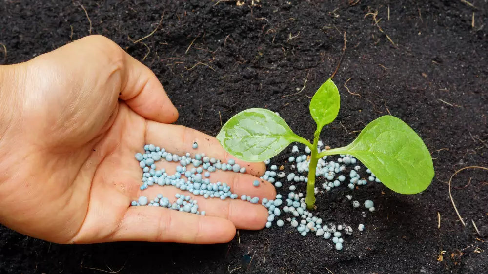 Ормуз бұғазын бұғаттау Қазақстандағы егін мен бағаға қалай әсер етеді?