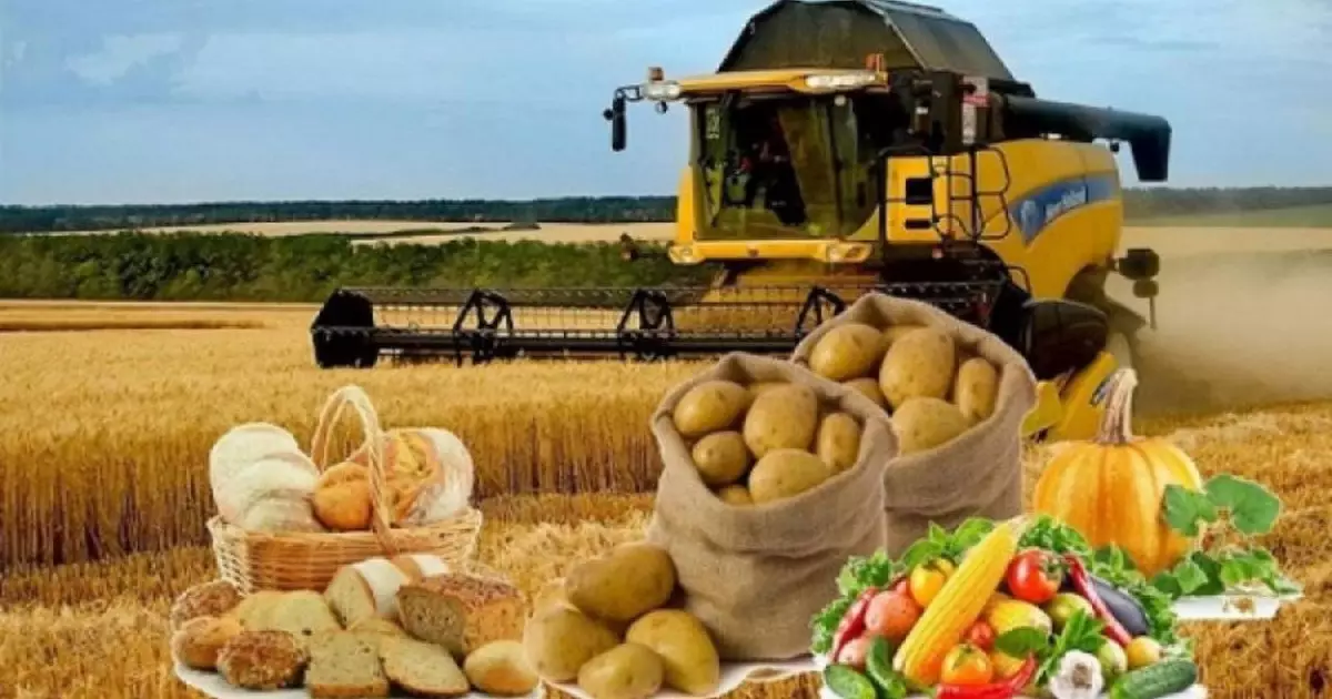   Азық-түлік өндірісі 11,9%-ға артып, 665 миллиард теңгеден асты   