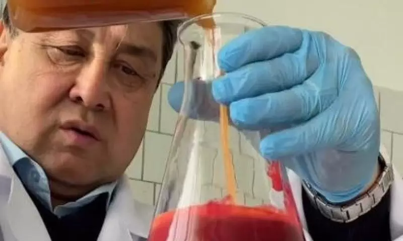 Научный прорыв: казахстанские учёные создают функциональные соки и джемы